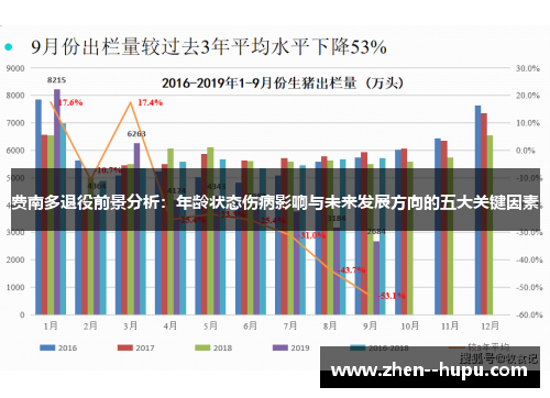 费南多退役前景分析：年龄状态伤病影响与未来发展方向的五大关键因素