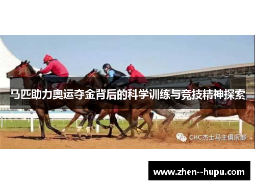 马匹助力奥运夺金背后的科学训练与竞技精神探索